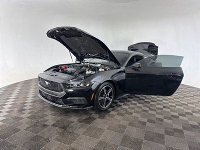 2025 Ford Mustang EcoBoost