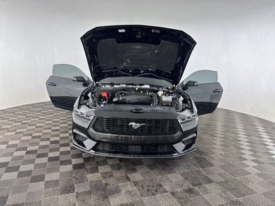2025 Ford Mustang EcoBoost