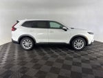 2023 Honda CR-V EX-L w/o BSI