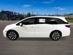 2026 Honda Odyssey Elite FWD