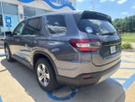 2024 Honda Pilot EX-L 8 Passenger