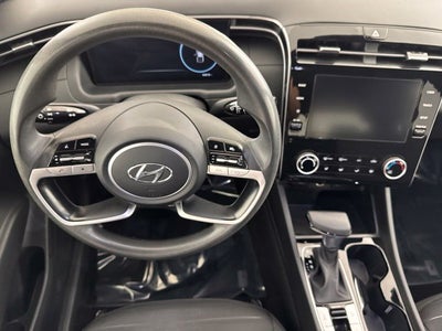 2023 Hyundai Santa Cruz SEL w/ Activity Pkg