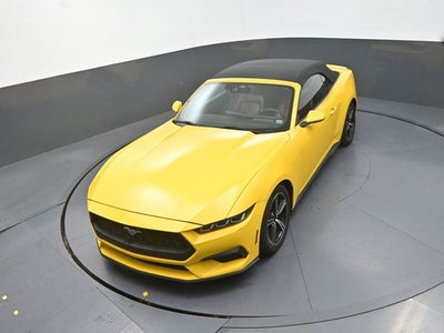 2024 Ford Mustang EcoBoost Premium