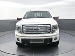 2013 Ford F-150 Platinum