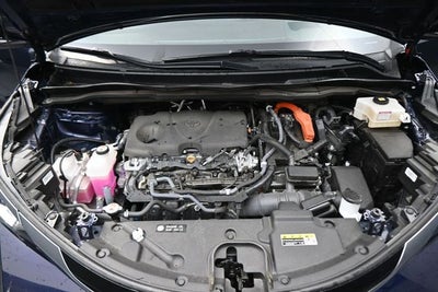 2022 Toyota Sienna Platinum 7 Passenger