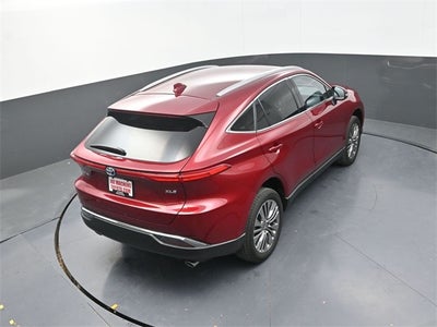 2024 Toyota Venza XLE