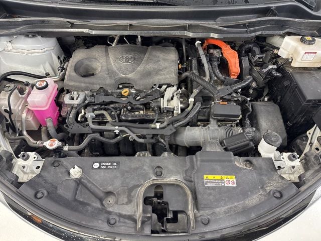 2021 Toyota Sienna Platinum 7 Passenger
