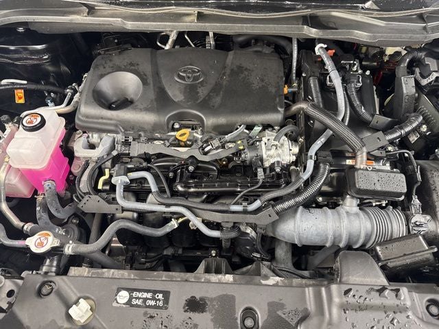 2025 Toyota Sienna LE 8 Passenger