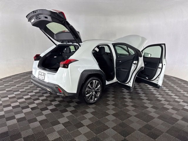 2019 Lexus UX 200 F SPORT