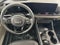 2025 Kia Carnival EX