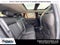 2024 Mazda Mazda CX-50 2.5 S Premium Plus Package