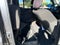 2016 Nissan Frontier Desert Runner