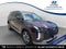 2025 Hyundai Palisade SEL Premium 8P