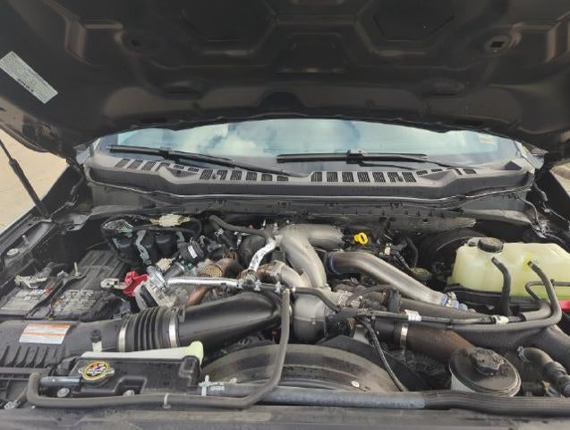 2024 Ford Super Duty F-350 SRW XL 4WD Crew Cab 6.75' Box
