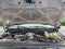 2021 Ford Super Duty F-350 SRW LARIAT 4WD Crew Cab 6.75' Box