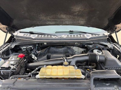 2019 Ford F-150 XLT 4WD SuperCrew 5.5' Box