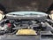 2019 Ford F-150 XLT 4WD SuperCrew 5.5' Box
