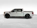 2025 Ford F-150 STX 4WD SuperCrew 5.5' Box