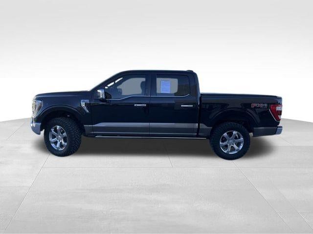 2023 Ford F-150 King Ranch 4WD SuperCrew 5.5' Box