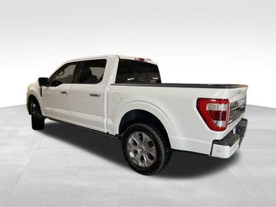 2021 Ford F-150 Platinum 4WD SuperCrew 5.5' Box