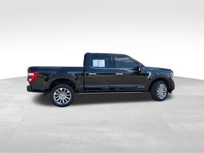 2023 Ford F-150 Limited 4WD SuperCrew 5.5' Box