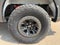 2023 Ford F-150 Raptor 4WD SuperCrew 5.5' Box