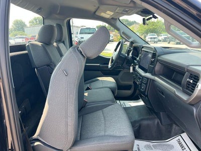2025 Ford F-150 XL 4WD Reg Cab 8' Box