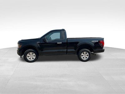 2025 Ford F-150 XL 4WD Reg Cab 8' Box