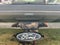2025 Ford F-150 XL 4WD Reg Cab 8' Box