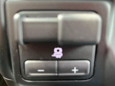 2020 Chevrolet Silverado 1500 Crew Cab Short Box 4-Wheel Drive LT Trail Boss