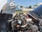 2024 Chevrolet Silverado Chassis Cab 4WD Reg Cab Work Truck