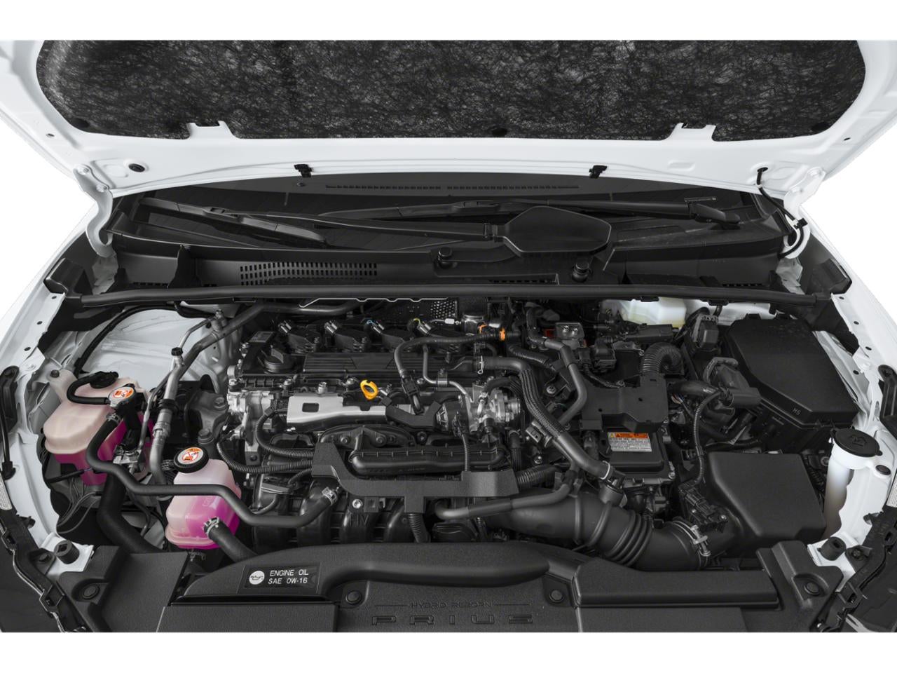 2023 Toyota Prius LE (Natl)
