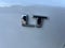 2023 Chevrolet Trailblazer FWD 4dr LT