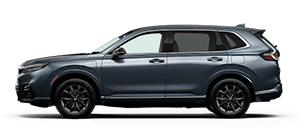 Columbia Honda in Columbia MO